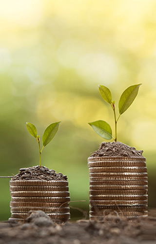 Zertifikatslehrgang Market Access for you - Insider Know-how & Best Practice - Modul 1