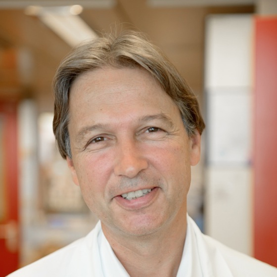 Herr Univ.-Prof. Dr Alexander Gaiger